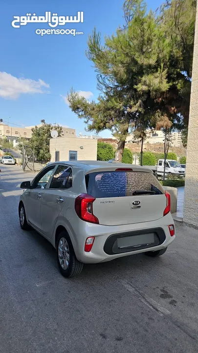 كيا مورننج 2019