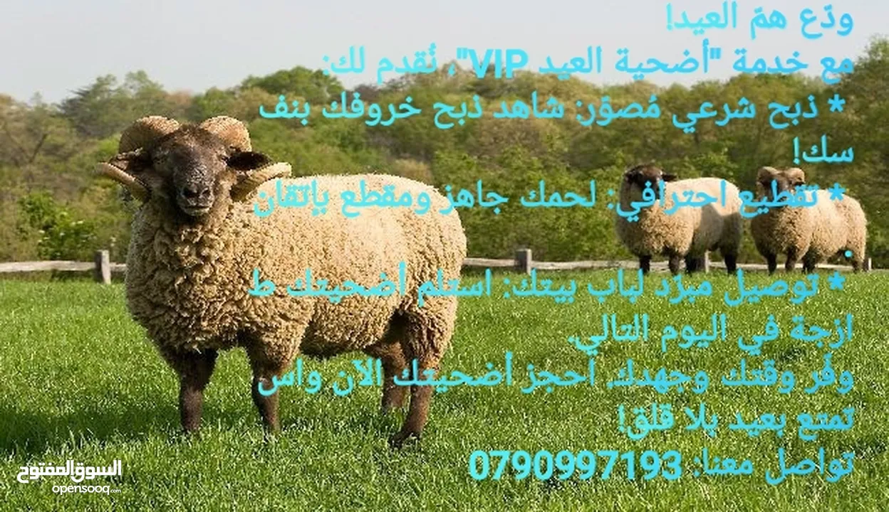 ابو حسين للاضاحي عجول وخرفان خبرة واحترافية: سنوات من العمل في مجال الذبح تضمن لكم خدمة ممتازة.
