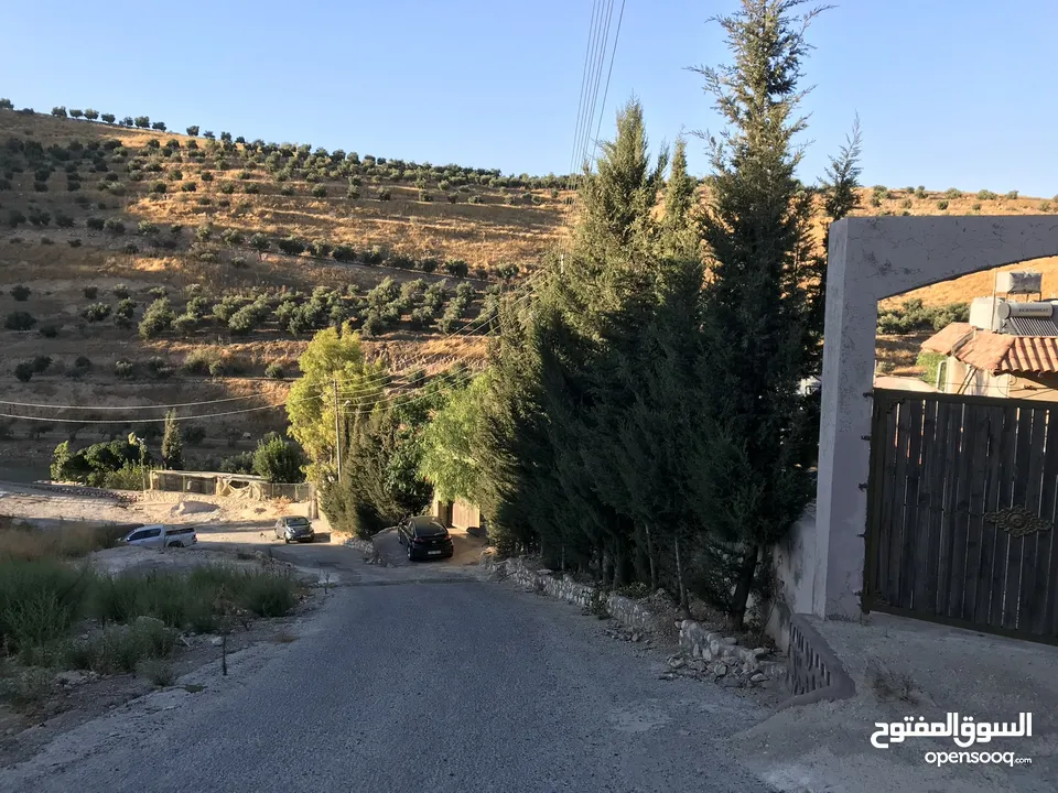 مزرعة مع فيلا ومسبح للبيع او البدل في فلل المسرة - العالوك