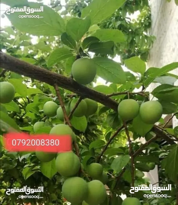 مزرعة لقطة مميزة مع بيت طابقين مطلة ومرتفعة