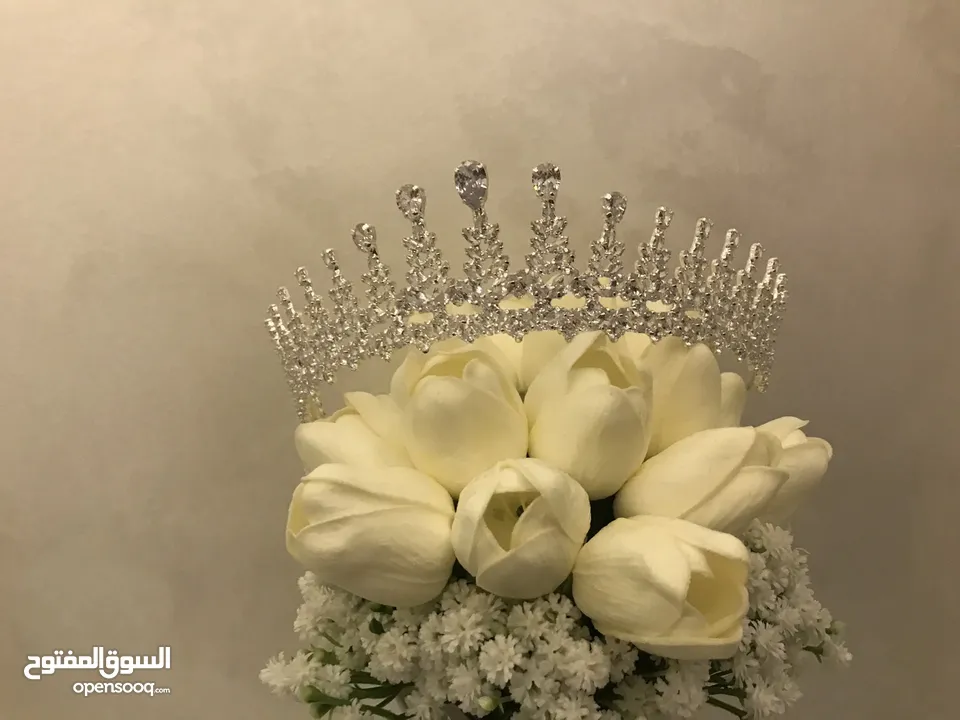 اسعار مناسبة للجميع