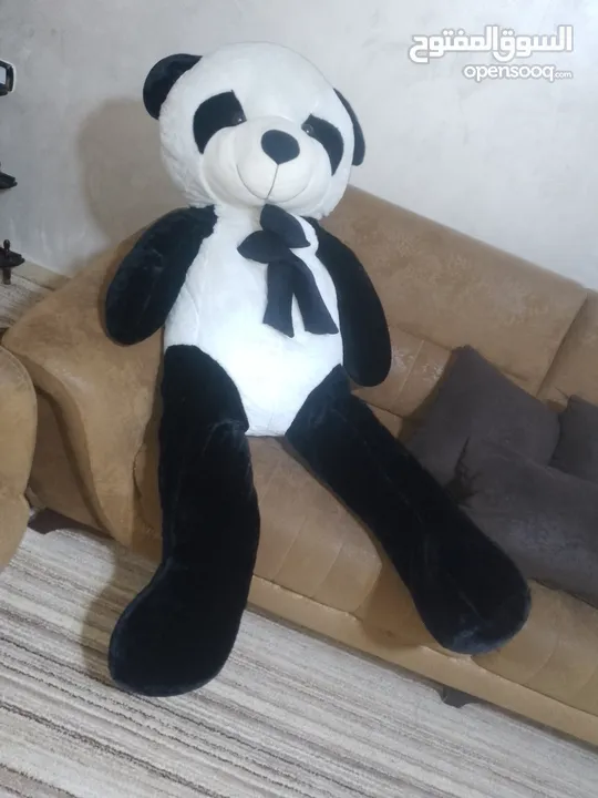 دبدوب باندا طول متر ونصف