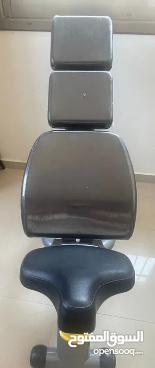 Adjustable Bench مقعد قابل للتعديل