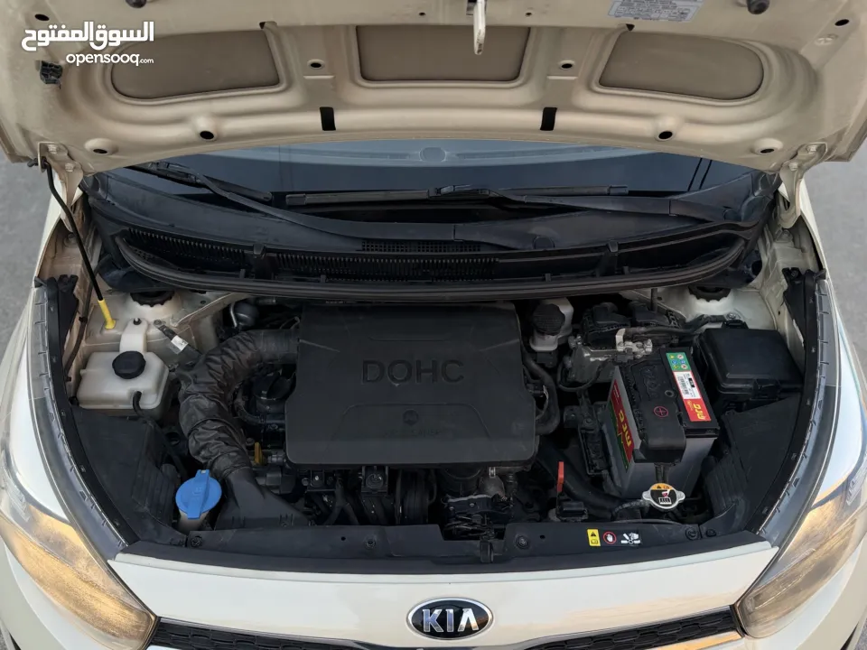 كيا مورنينغ فل موديل 2018 دهـان الشركه