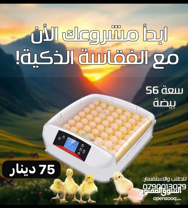 فقاسة اوتوماتيك 56 بيضة نوع ممتاز