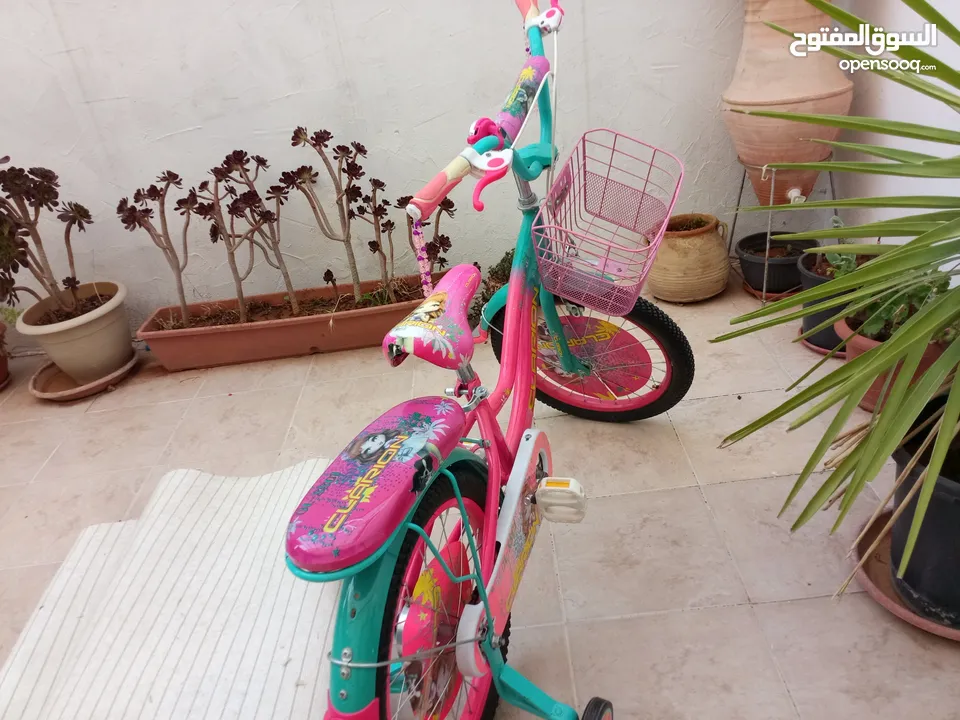 بسكليت جميل