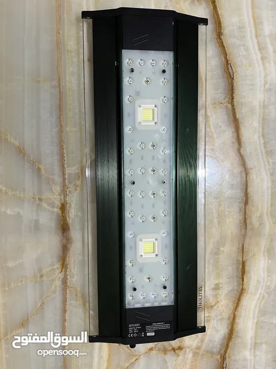 انارة ZetLight ماڤن 1 للبيع