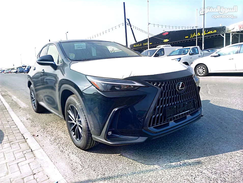 Lexus NX350 Hybride,2024,Germany