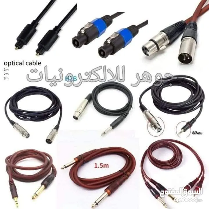 راسية RCA متوفر ذكر وانثى