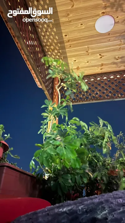 ايفون 13بحالة الجديد مش مفتوح ولا مغيرله اشي ولا فيه اشي التلفون بحالة الجديد