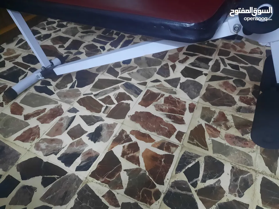 جهاز تدريب معده متكامل