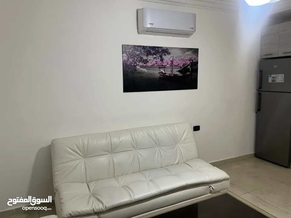 استيديو مفروش حديثاً شارع جامعة طلوع نيفين (طلاب وموظفين)