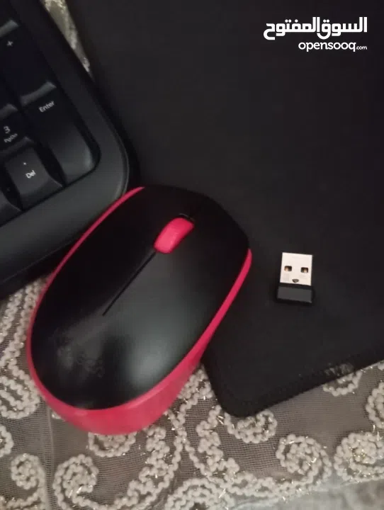 كمبيوترPHLEBS