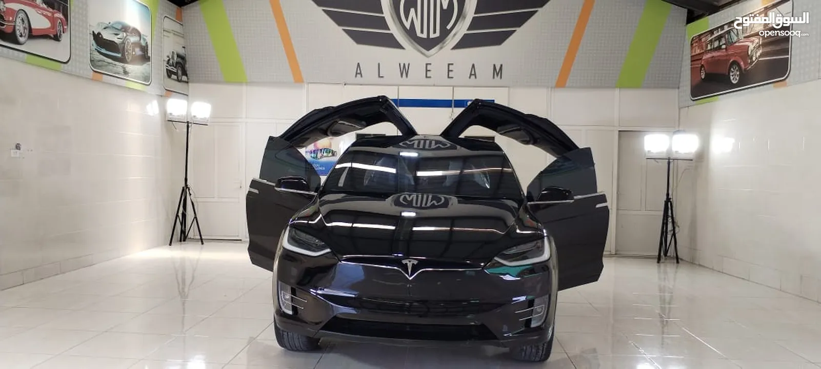 Tesla Model X D100 2018