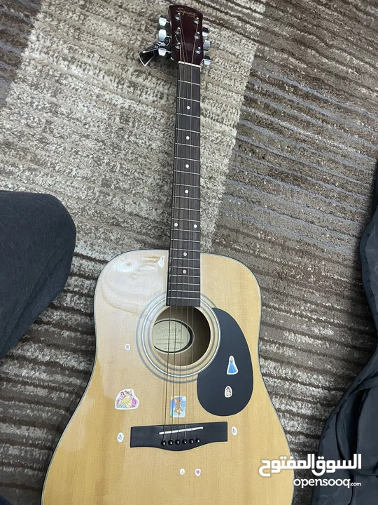 Acoustic Guitar - Fender
