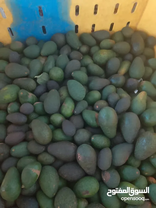 مشروع تجاري مربح