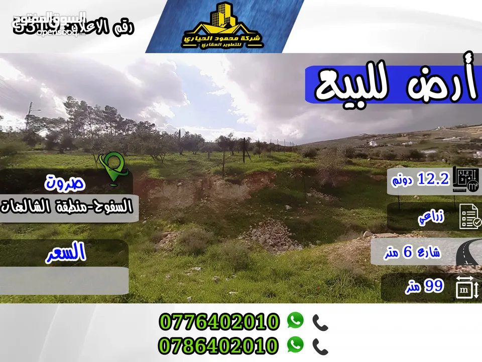 رقم الاعلان (5319)  قطعة ارض زراعية مميزة للبيع في صروت , السفوح منطقة الشاليهات