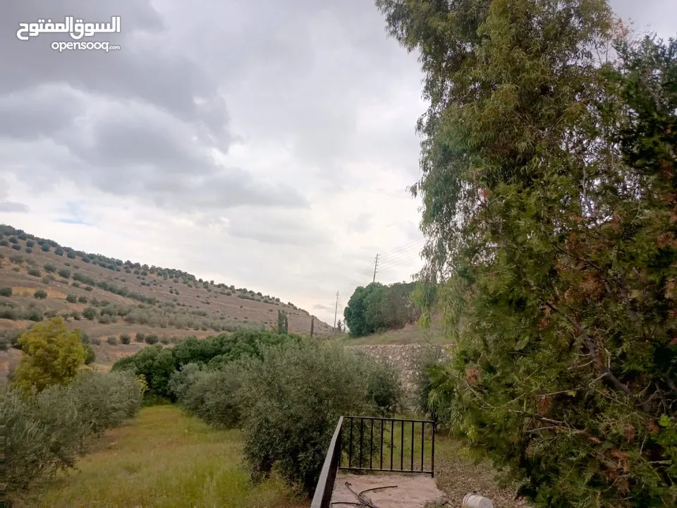 مزرعه مع 2 بيت ريفي مخدومه ماء وكهرباء مساحتها 4712