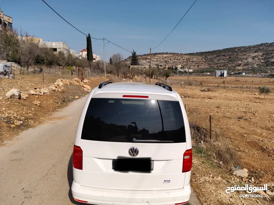 كادي 2020 شصي طويل فحص نخب النخب فل الفل