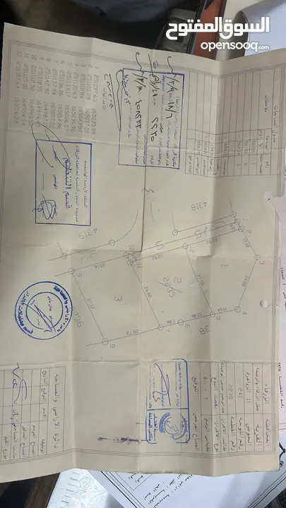 ارض بالزواهرة للبيع