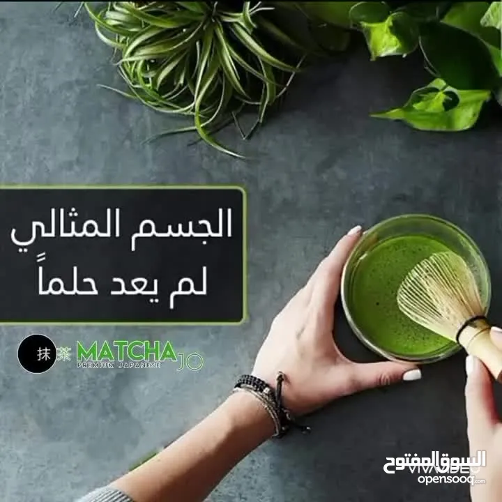 شاي الماتشا لانقاص الوزن