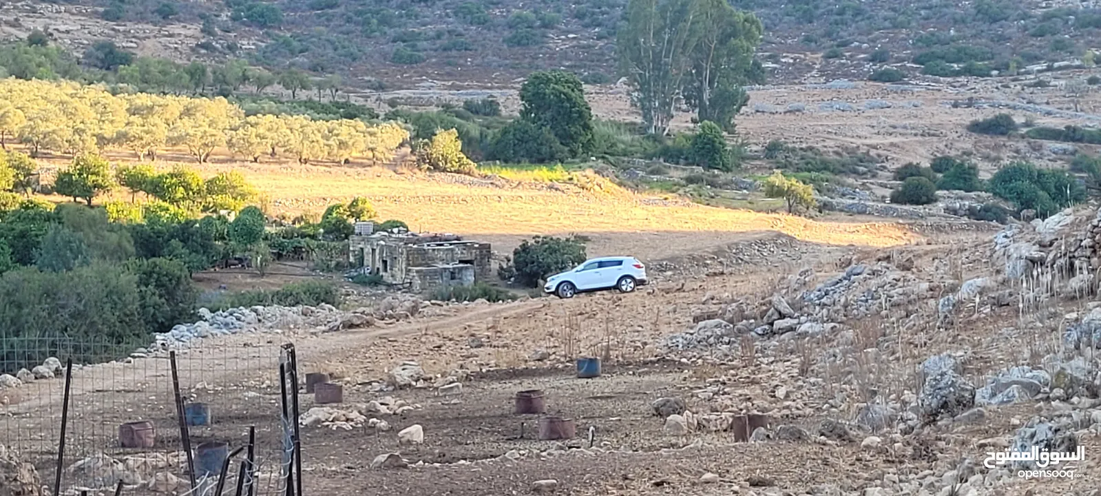 اسبورتاج 2014 ابيض