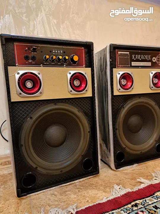 Bluetooth DJ Speakers