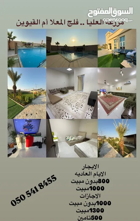 استراحه للايجار اليومي   Rest house for daily rent