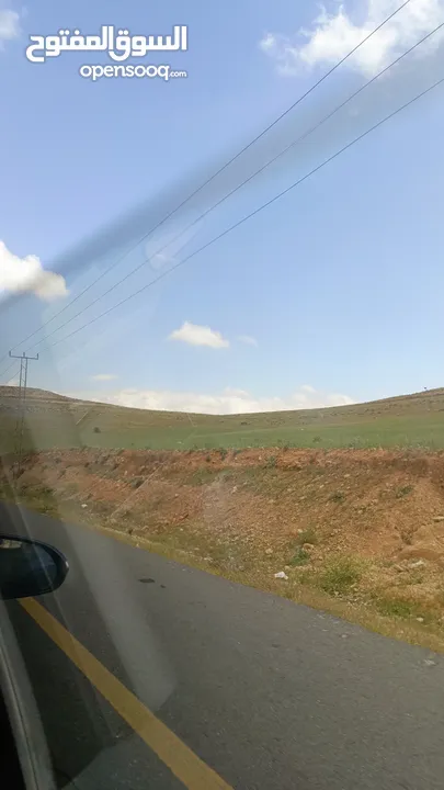 مطلوب فرخ كوكتيل تعليف