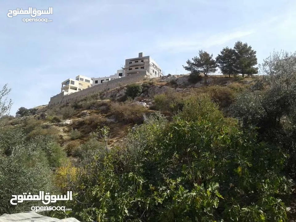 قطع اراضي مميزة مطلة غرب عمان