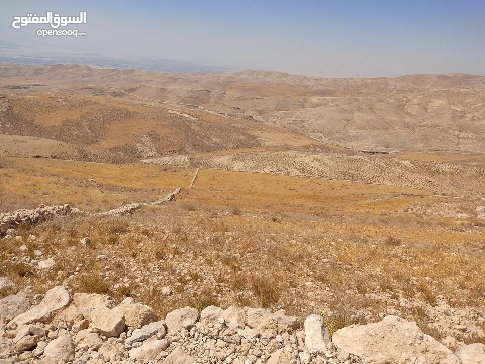 مادبا ماعين قطعة أرض زراعية مميزة مطلة على البحر الميت والضفة الغربية بمساحة 21 دونم