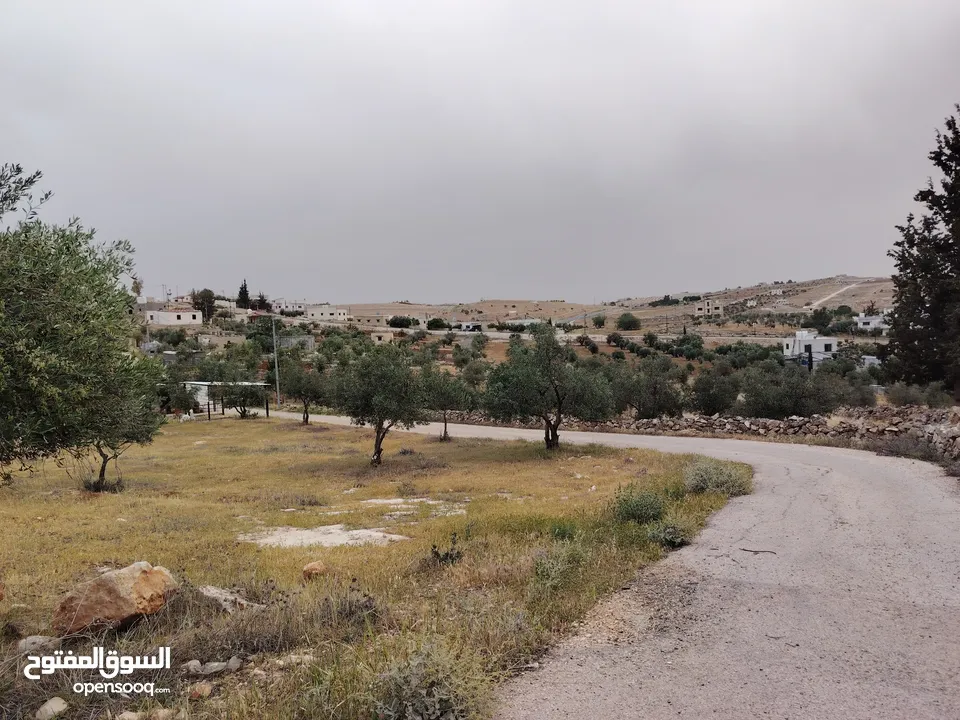 فرصه للشراء ارض مشجره جاهزه داخل التنظيم ومخدومه شارع معبد خدمات كامله ومطله