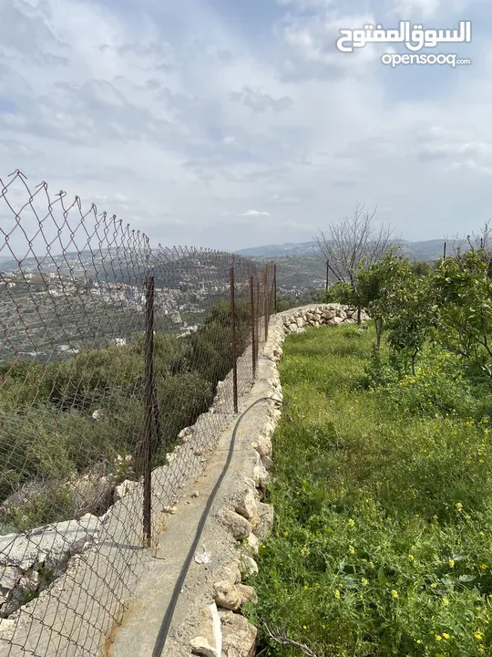 بيت ريفي مع مزرعة