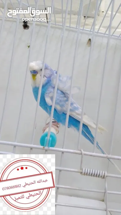 سعر حرققققق