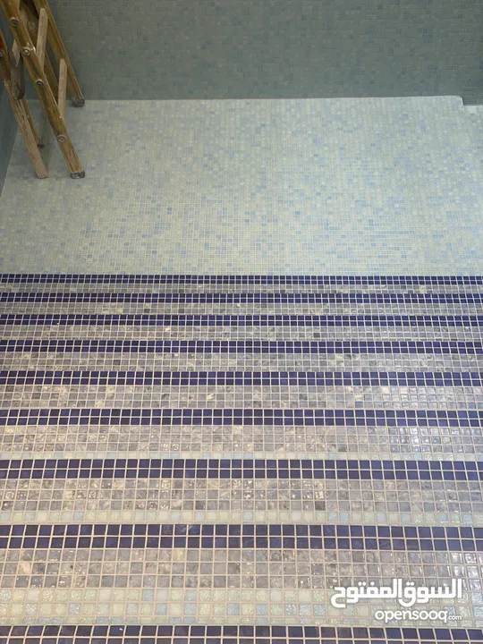 تخصص برك سباحه  مقاولات