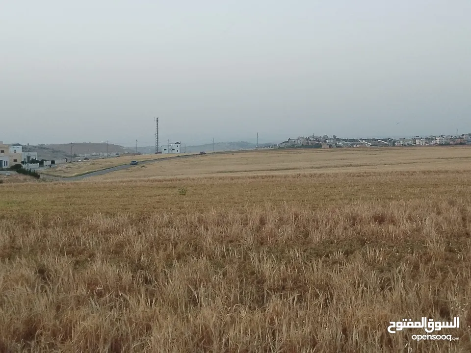 مادبا ماعين المشرفة قطعة ارض زراعية مميزة واصل الخدمات ذات اطلالة على البحر الميت واصل الخدمات