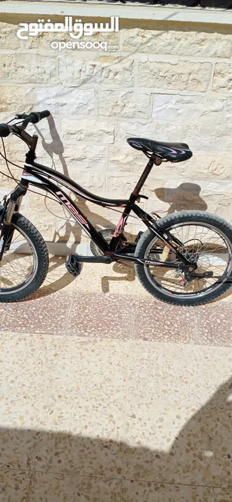 بسكليت امريكي