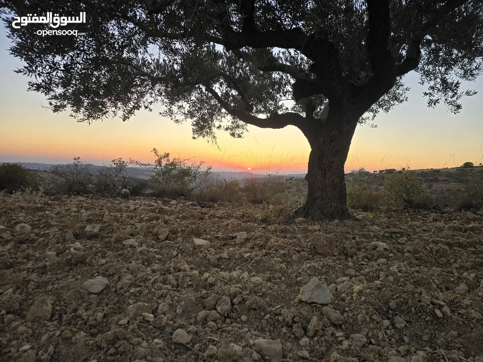 ارض قمه جبل اطلاله مميزه 500 متر