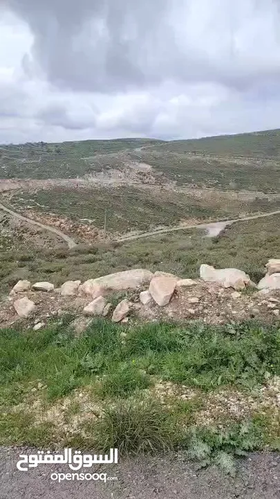نمرة ارض كوشان طابو مستقل اطلالة مميزة 505 متر بيت امرين نابلس امكانية البيع او التبديل على ارض طابو