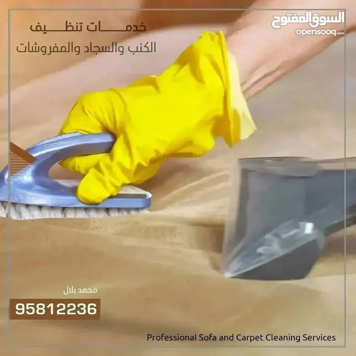 Sofa Chair and Carpet cleaning service