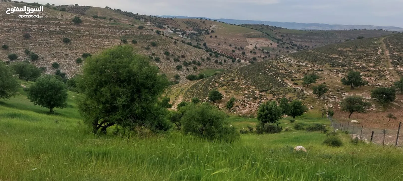 الكمشه حوض المكمان 3405 م على شارعين اطلاله شماليه غربيه رائعه مستصلحه ومسوره قرب الخدمات