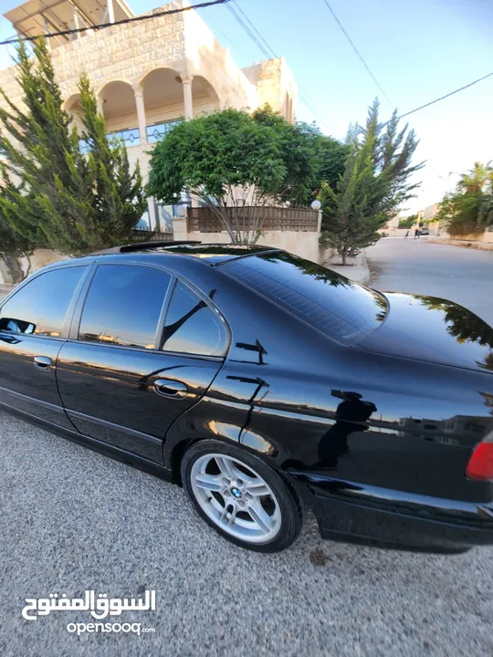 BMW E39 الدب