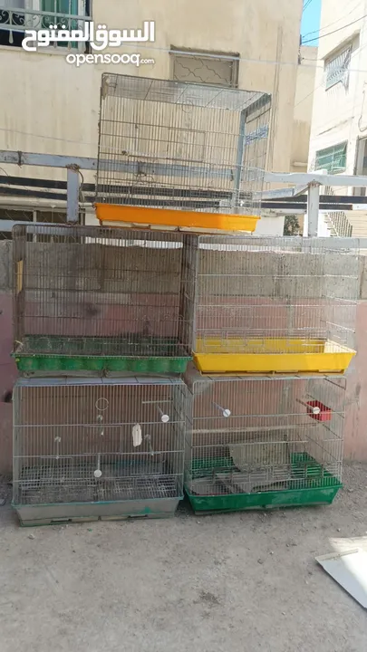 مزرعه طيور مميزة
