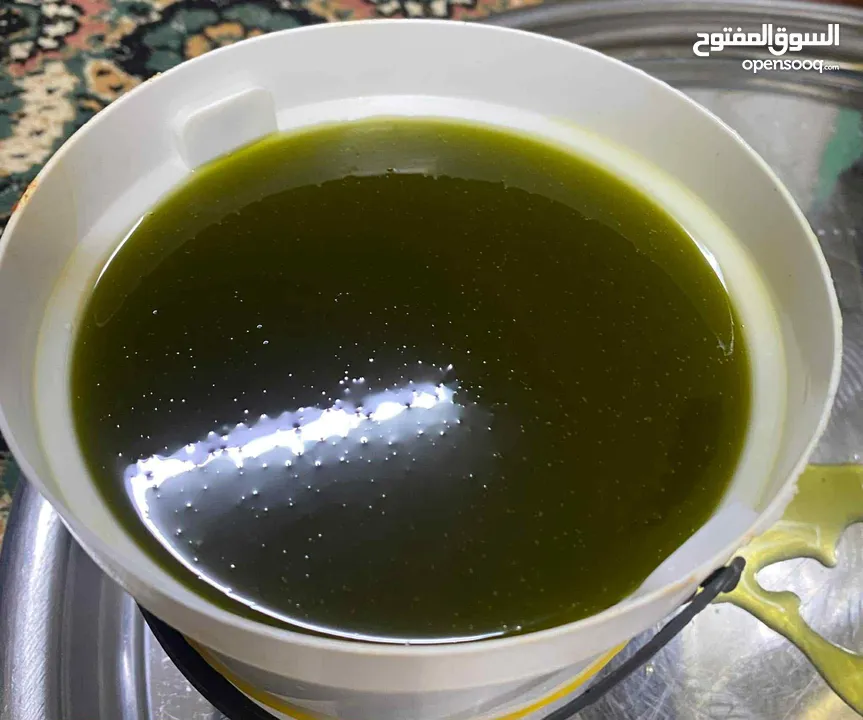 زيت زيتون السنه للبيع التنكه على 95