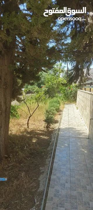 فيلا طابقين وروف