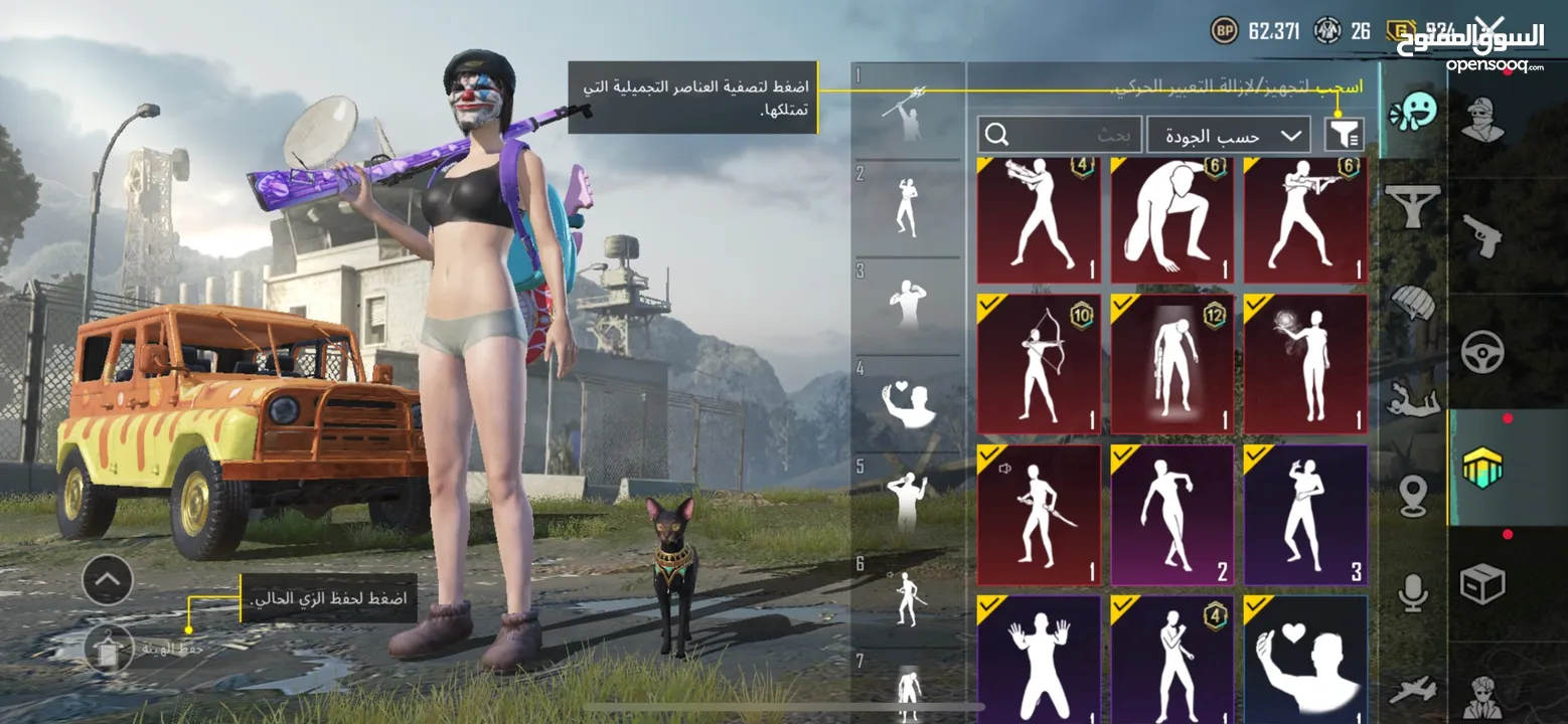 حساب ببجي للبيع لفل عالي 74