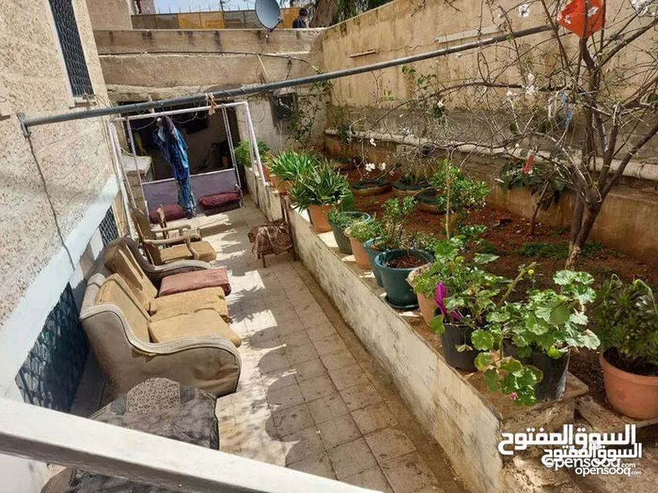 شقه للبيع للبيع جبل النزهه