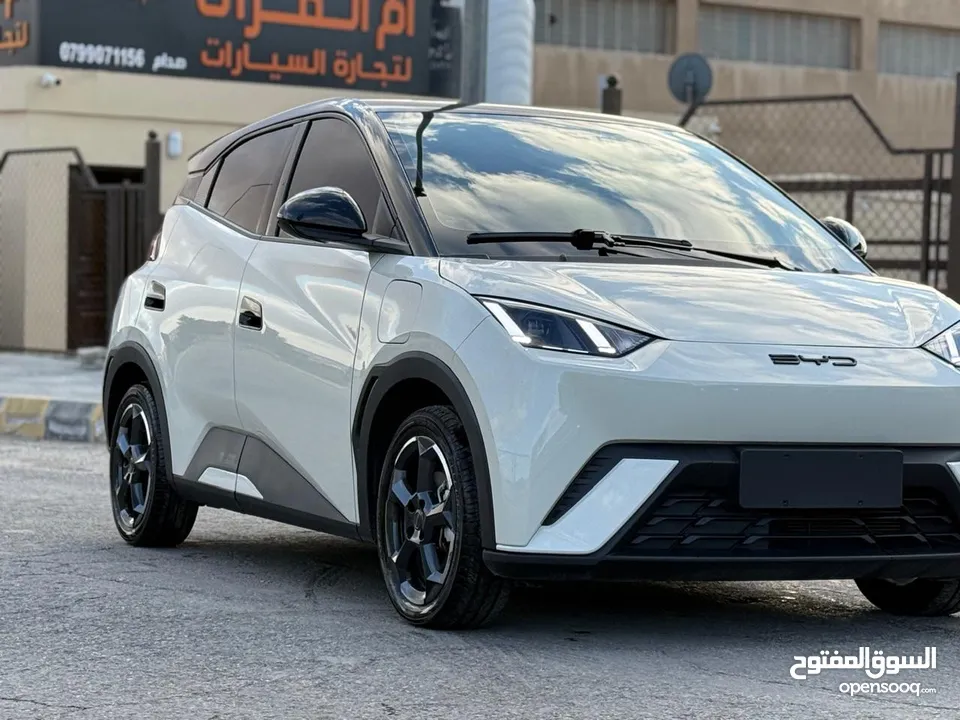 بس واي دي سيجول 305k 2023