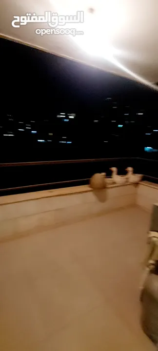 شقة للبيع بالطيرة..بمساحة 190  m