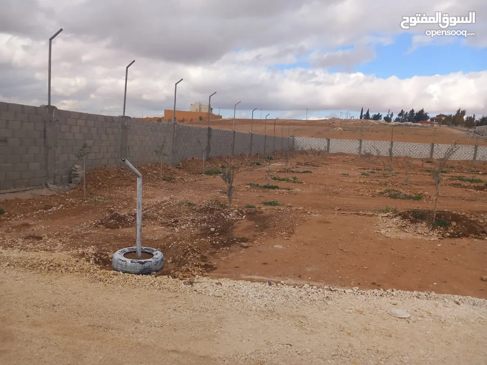 فرصة  للاستثمار في أرض بموقع مميزة في المفرق –متعدد الاستخدام- طريق رحاب - التحويلة حوض الوسية